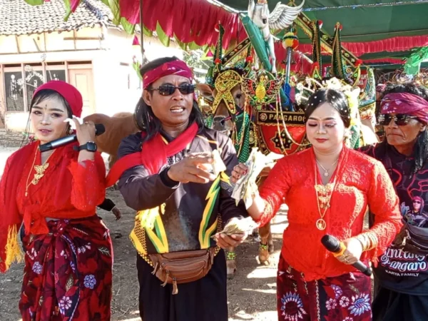 Tujuh Komunitas Berkumpul, Kerapan Sapi Betina Giliraja Tetap Terjaga
