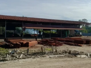 Jejak Kayu Pacakan Di Pt Mam Dipertanyakan, Lindo Belum Beri Keterangan