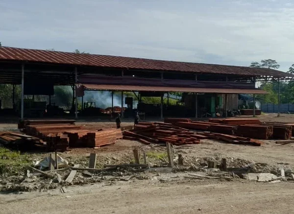 Jejak Kayu Pacakan Di Pt Mam Dipertanyakan, Lindo Belum Beri Keterangan