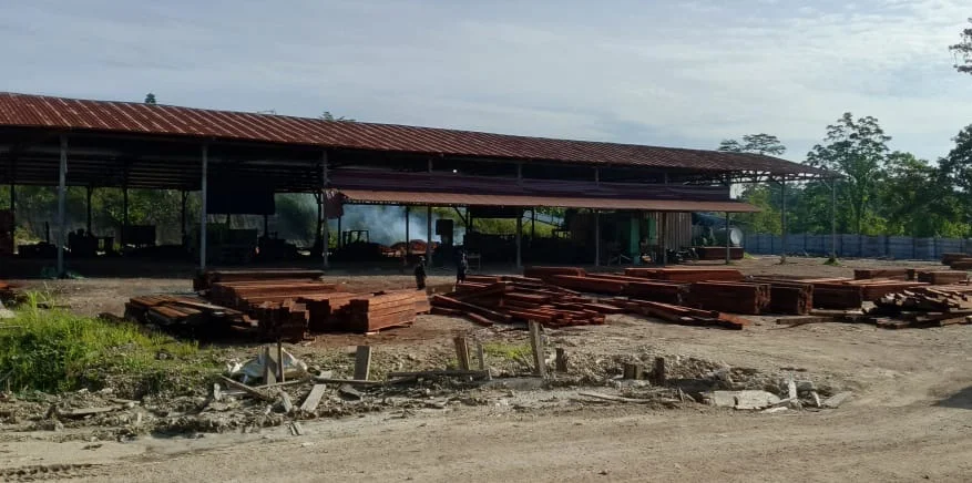 Jejak Kayu Pacakan Di Pt Mam Dipertanyakan, Lindo Belum Beri Keterangan