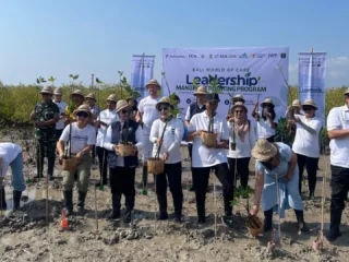 Mangrove Bukan Sekadar Pohon, Bali Dorong Blue Carbon Jadi Aset Ekonomi