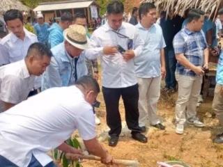 Tiang Telepon Di Batur Jaya Dipertanyakan, Rohim Desak Aph Investigasi Program Dan Perizinannya