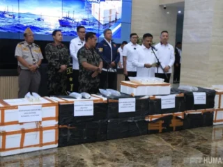 Bareskrim Polri Gagalkan Penyelundupan Benih Lobster Senilai 5.8 Milyar Dan Telusuri Jaringan Internasional